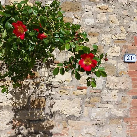 San Sano
