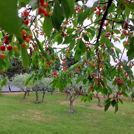 San Sano Alojamento de Turismo Rural *