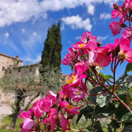 San Sano Gaiole in Chianti